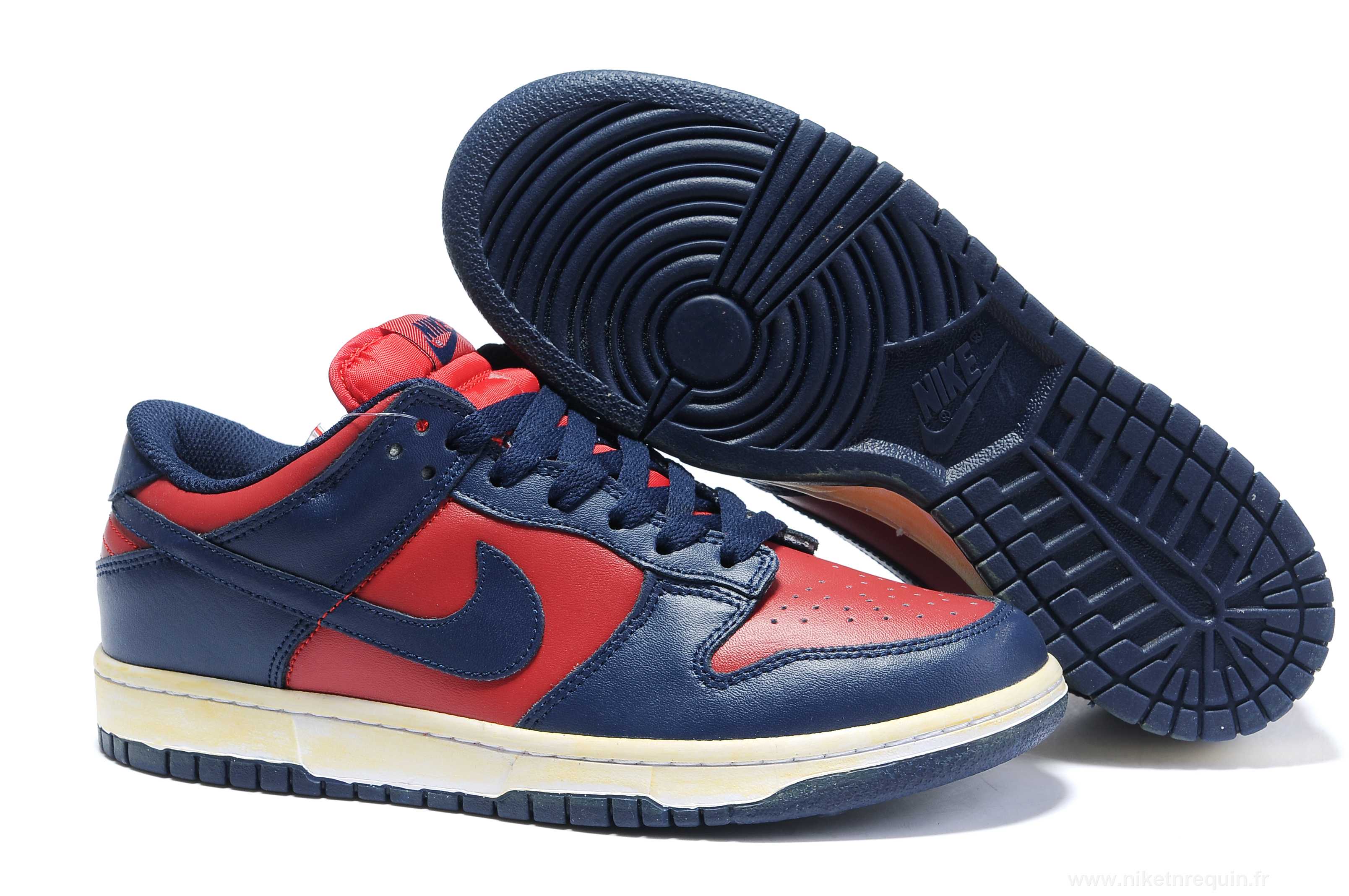 Nike Dunk SB bleue (1)